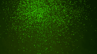 Illustration for article titled Ancient Microbes, Virtual Comic-Con, and Mind-Boggling Sperm, Best Gizmodo Stories of the Week